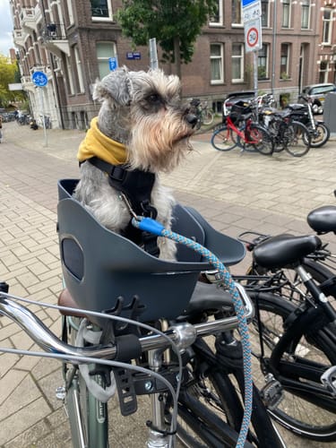 Customer photo review of Kvisp Dog Bike Carrier
