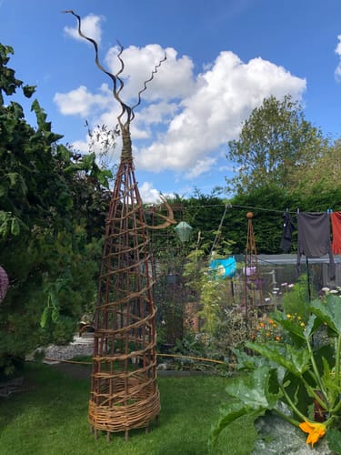 Customer photo review of The Willow Plant Support - Online Course and Kit