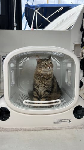 Customer photo review of Pet Dryer Box