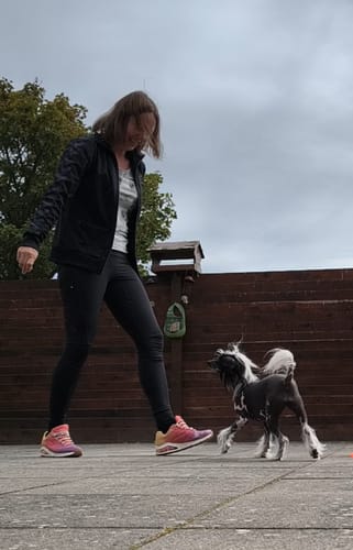 Kundeanmeldelse med foto af FeelFree Dog Walker Tights | Sort | Ruby