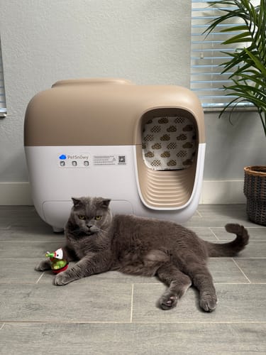 Customer photo review of Self-Cleaning Litter Box