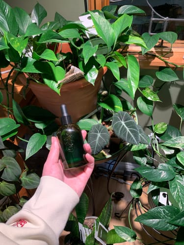 Customer photo review of Plant Food