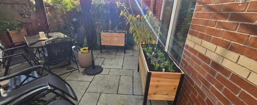 Customer photo review of Raised Garden Bed - 46cm x 122cm x 76cm