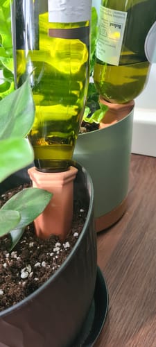 undefined review of Topfpflanzenbewässerung „Hydro Wine“ 4 Stk. Tonkegel für Wein- & PET-Flaschen image 1 out of 1