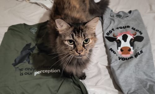 Customer photo review of Not Your Mom, Not Your Milk T-Shirt