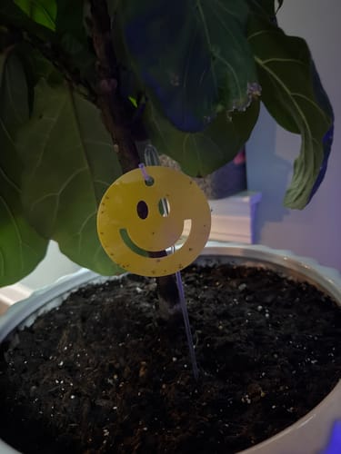 Customer photo review of Killer Smiles