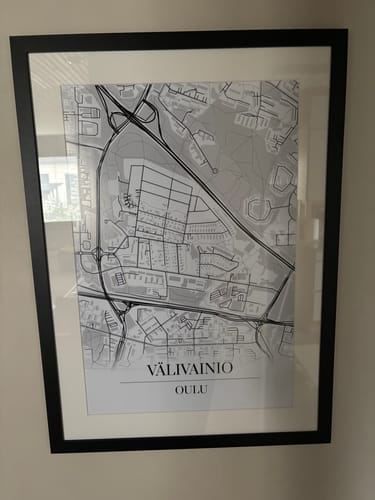 Customer photo review of Välivainio