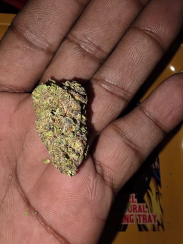 Customer photo review of Biscotti Cake - 28 Grams (Hybrid)