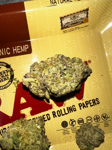 Customer photo review of Citrus Runtz Meltz