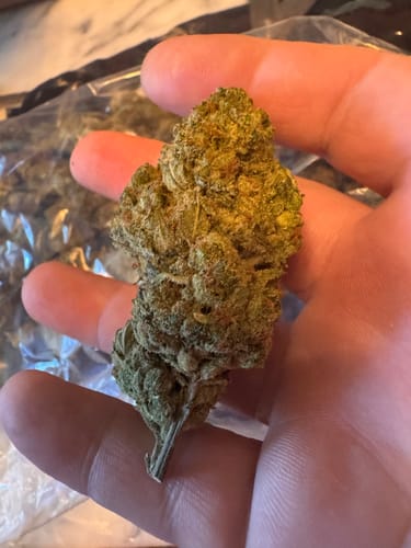 Customer photo review of Gas Face - Bulk - (Indica)