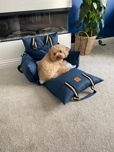 Customer photo review of Wagging Rights - Dog Dock