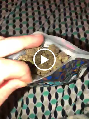 Customer video review of Trop Cherry - 28 Grams - Minis (Sativa)