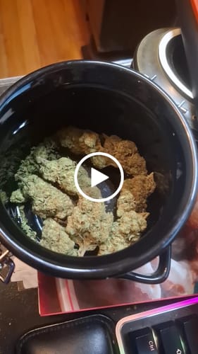 Customer video review of Laughing Gas - Bulk - (Indica)