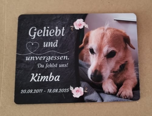 Customer photo review of Hunde Gedenktafel mit Foto & Spruch (UV- & Wetterfest)