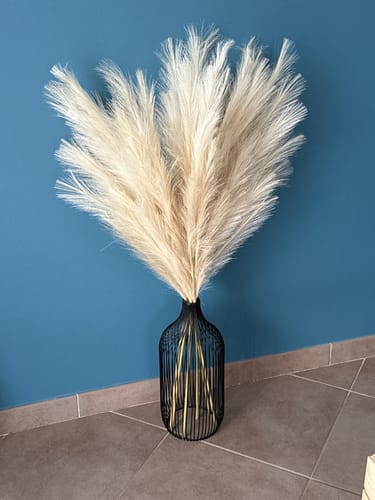 Customer photo review of Pampas 110cm (3 tiges)- Beige