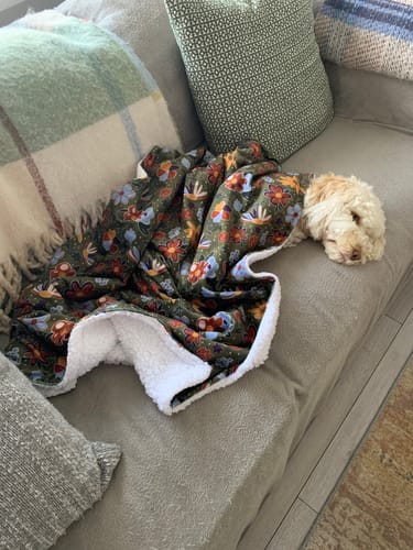 Customer photo review of Dog Blanket - Rust & Bloom