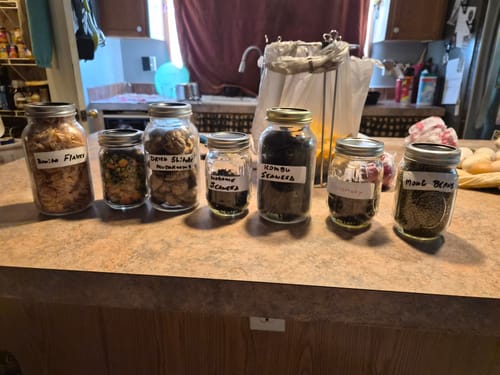 Sammy S. review of Mason Genie® Vacuum Sealer Kit image 1 out of 1