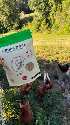 Customer photo review of GrubTerra Dried Larvae Sample