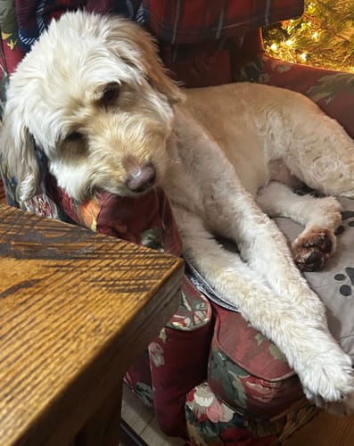 Customer photo review of DA-1™ Daily All-in-One Complete Care