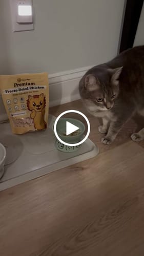 Customer video review of Freeze Dried Chicken Treats