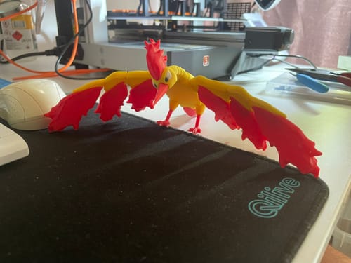 Customer photo review of PLA Básico