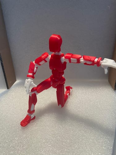 Customer photo review of PLA Básico