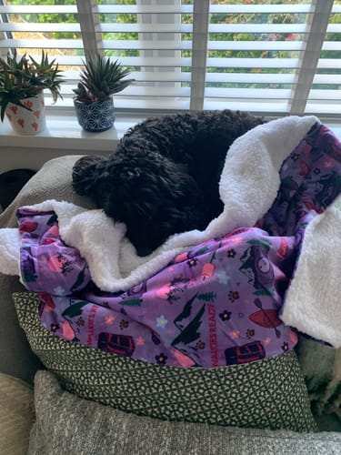 Margaret review of Dog Blanket - Roaming Wild image 1 out of 1