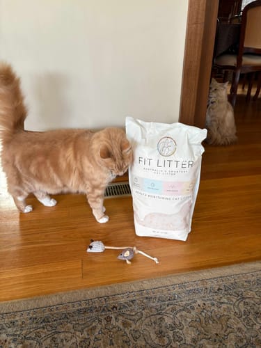 Customer photo review of 3 Month Supply - 2 Cats