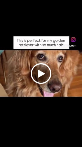 Customer video review of Pet Air Purifier