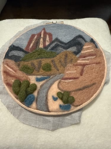 Customer photo review of Desert Trail Needle Felting Kit