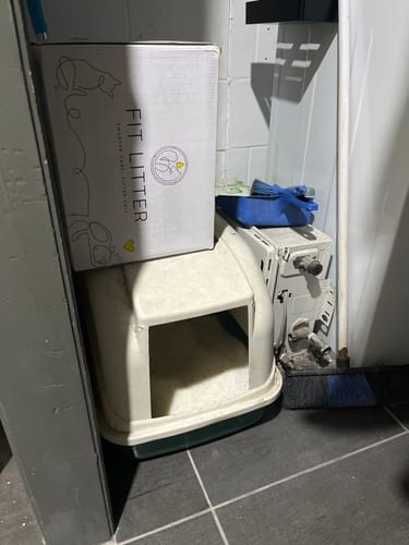 Customer photo review of 1 Month Supply – 2 Cat