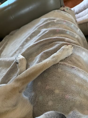 Customer photo review of DA-1™ Daily All-in-One Complete Care