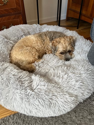 Customer photo review of CalmBed - Motverkar stress & hjälper mot ångest