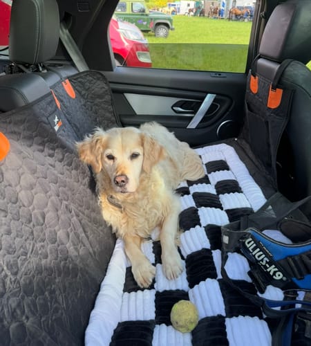 Customer photo review of RuffRover 2.0™ - Hard Bottom Back Seat Extender + (FREE Dog Bed)