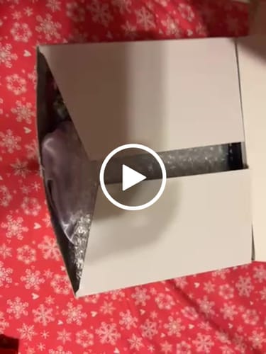 Customer video review of Dream Collection Bundle