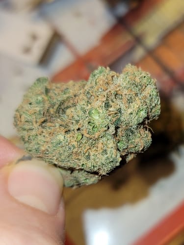 Customer photo review of Maui Wowie