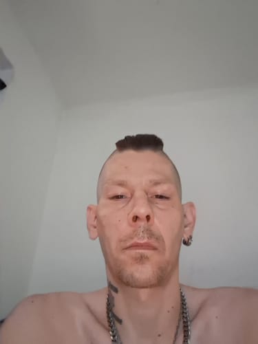 Daniel L. review of White Russian THC-A Blüten image 1 out of 1