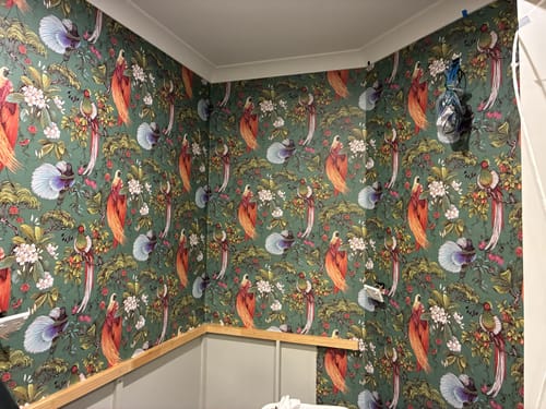 Customer photo review of Yasuni - Orential Tropical Bird Wallpaper - Green