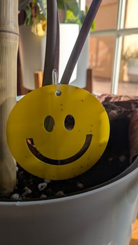 Customer photo review of Killer Smiles