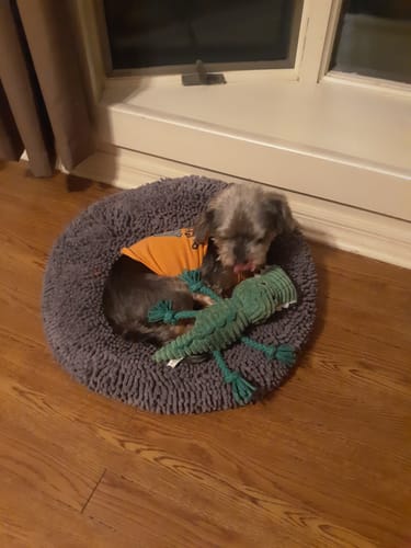 Customer photo review of DA-1™ Daily All-in-One Complete Care