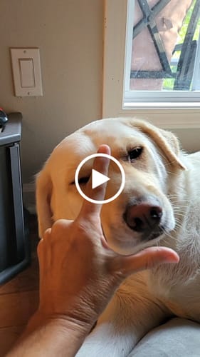 Customer video review of DA-1™ Daily All-in-One Complete Care