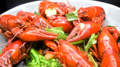 Customer photo review of Live Oregon Crawfish