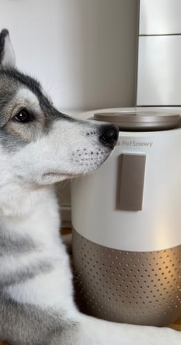 Customer photo review of Pet Air Purifier
