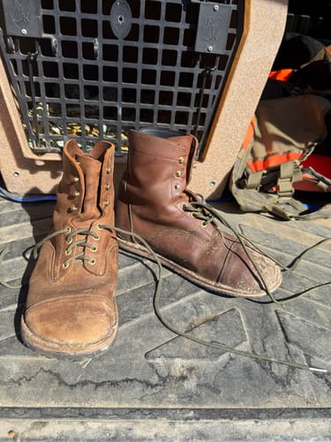 Customer photo review of Bruin-Patriot - Crazy Horse