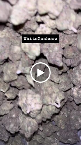 Customer video review of Shipping Protection by Route