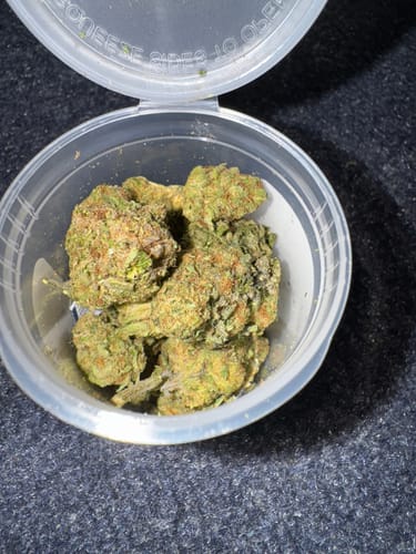 Customer photo review of Delicate Grapes