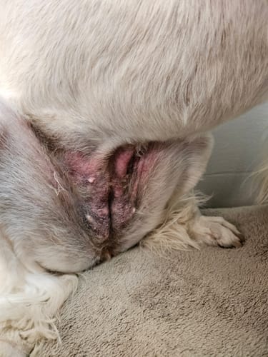 Customer photo review of DA-1™ Daily All-in-One Complete Care