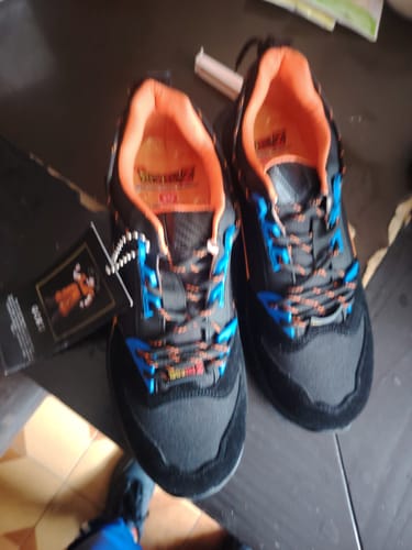 Customer photo review of Dragon Ball Sneaker Goku Black