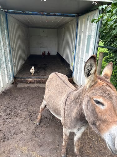 Nico V. review of Rubber Stalmat Noddevelt PREMIUM 16mm (R16) - 100x100cm image 1 out of 1