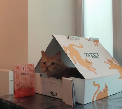 Avis photo d'un client sur Friandises Chat Happy - Saumon & Coco